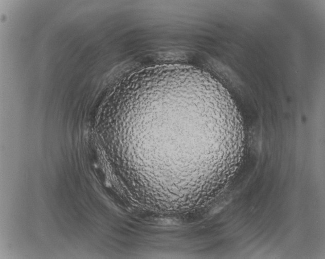 X0000084000741200703022005