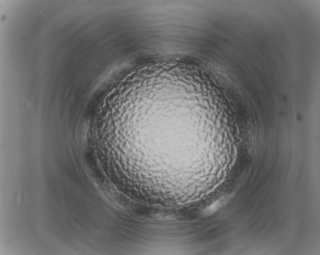 X0000084000742200703022005