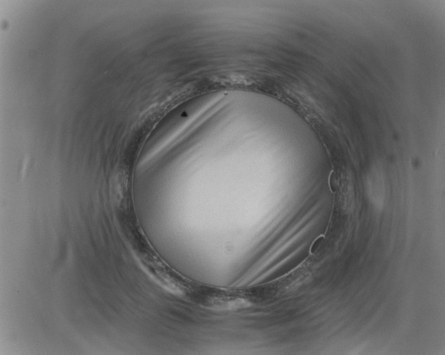 X0000084000747200703022005