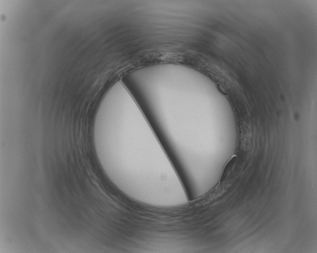X0000084000748200703022005