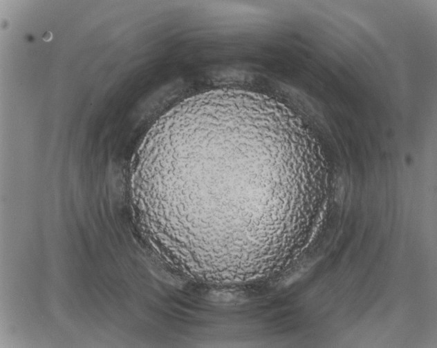 X0000084000753200703022005