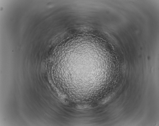 X0000084000757200703022005