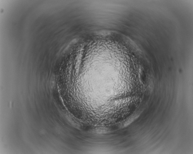X0000084000758200703022005