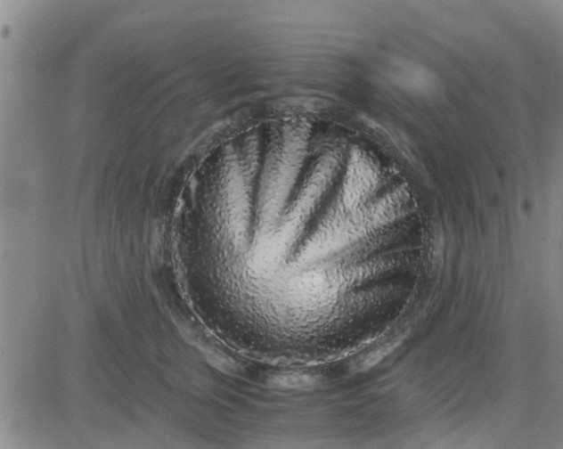 X0000084000759200703022005