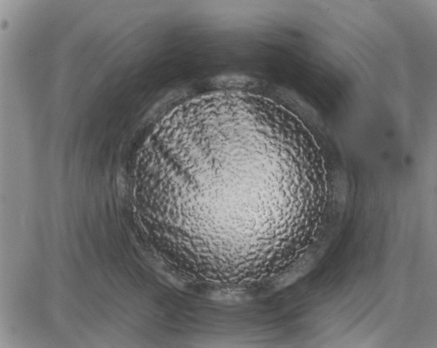 X0000084000761200703022005