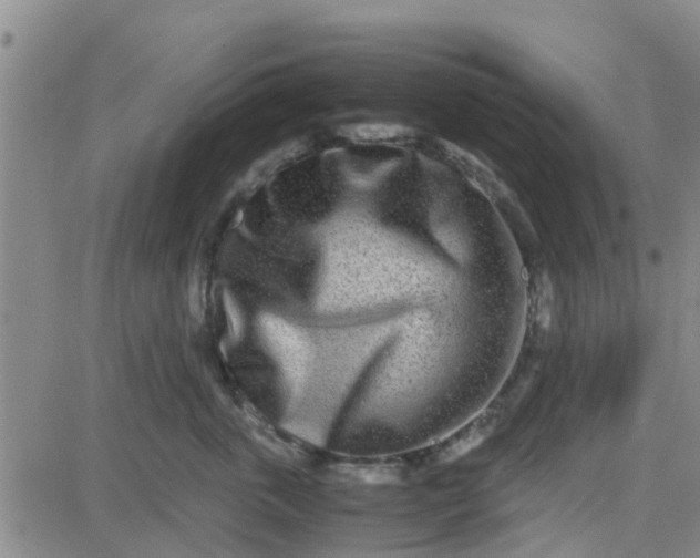 X0000084000763200703022005
