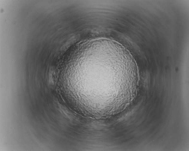 X0000084000770200703022004