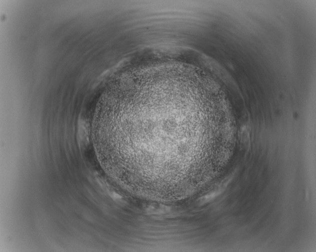 X0000084000772200703022004