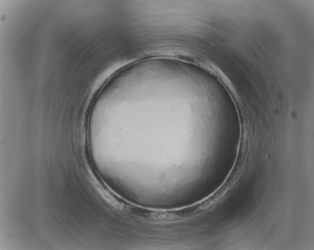 X0000084000795200703022004