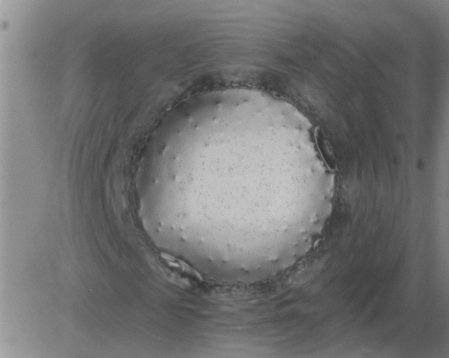X0000084000817200703022003