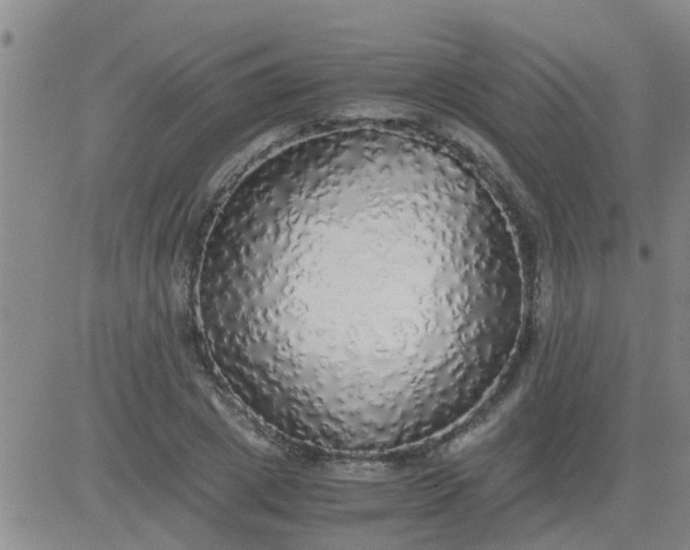X0000084000833200703022003