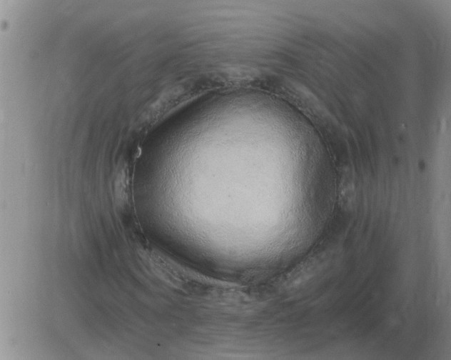 X0000084000866200703022003
