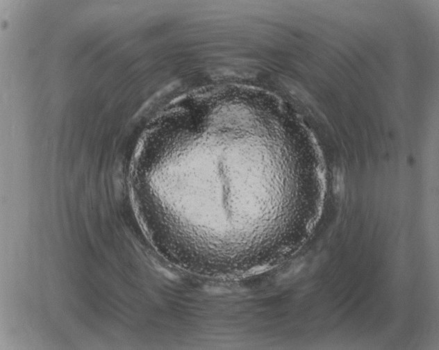 X0000084000915200703022001