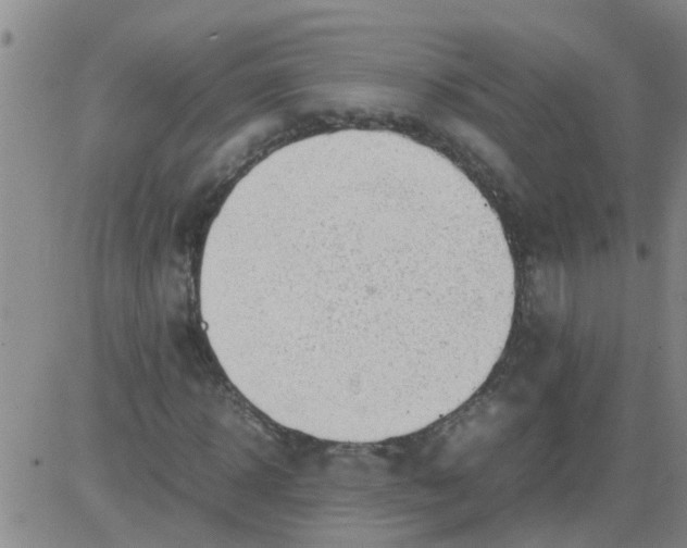 X0000084000918200703022001