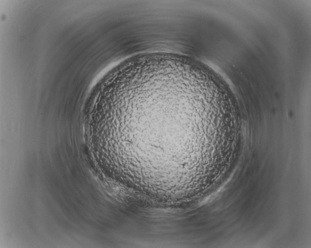 X0000084000925200703022001