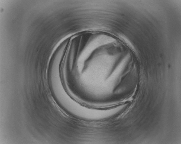 X0000084000932200703022001