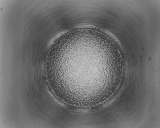 X0000084000937200703022002