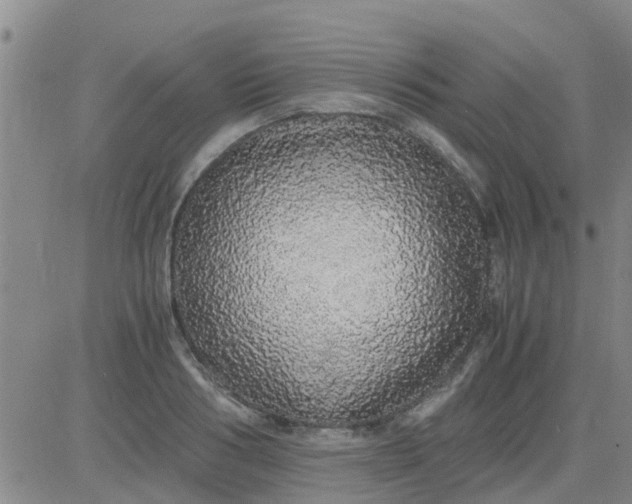X0000084000986200703022001