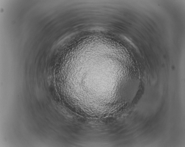 X0000084001015200703021959
