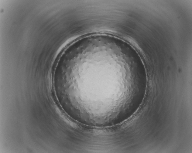 X0000084001032200703022000
