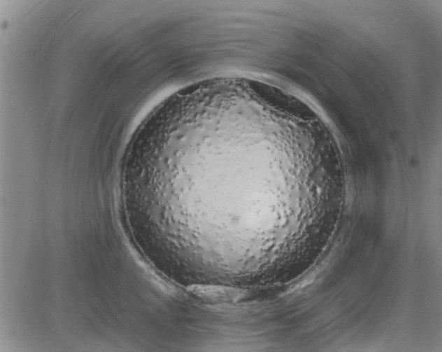 X0000084001048200703022000