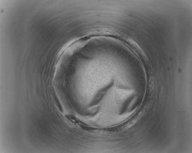 X0000084001081200703021959