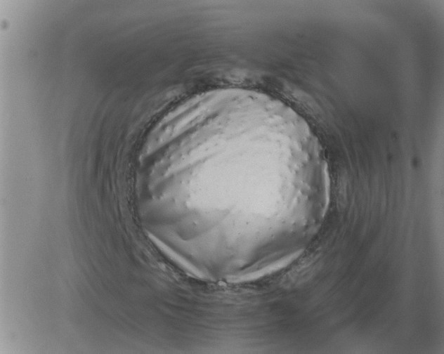 X0000084001105200703021958