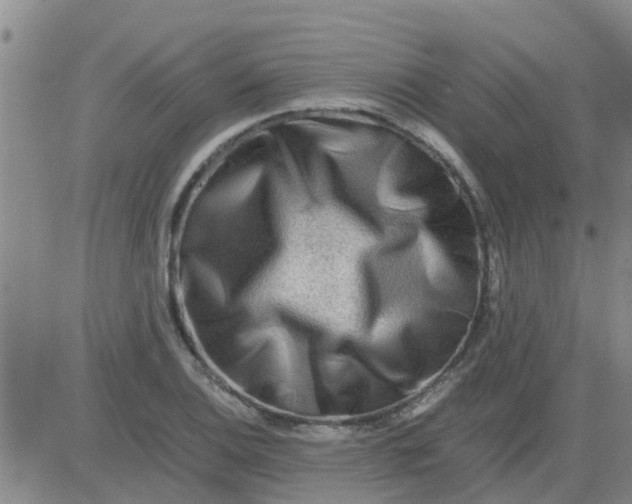 X0000084001124200703021958