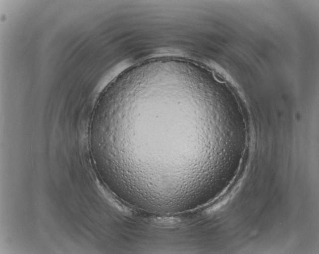 X0000084001137200703021958