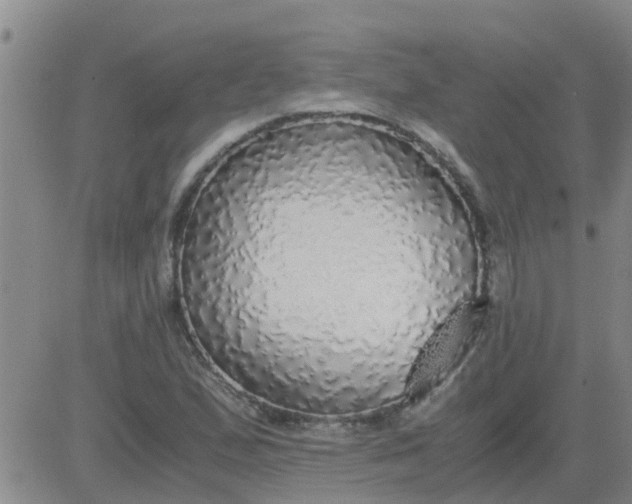 X0000084001167200703021957