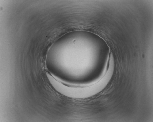 X0000084001202200703021956