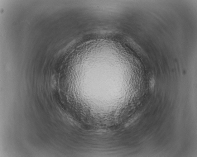 X0000084001204200703021956