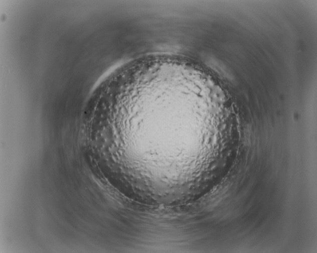 X0000084001208200703021956
