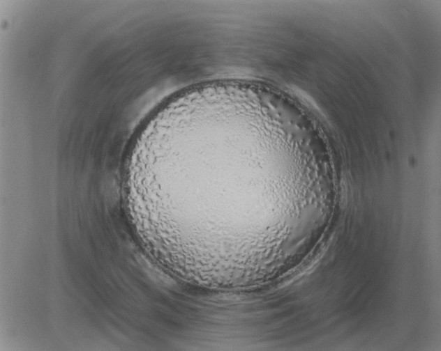 X0000084001212200703021956