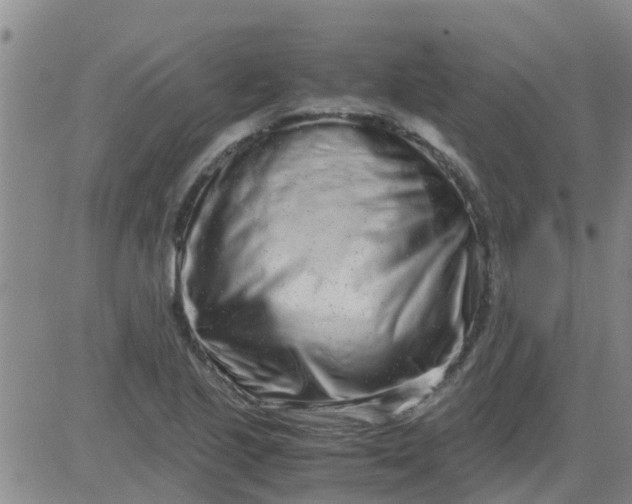 X0000084001221200703021956
