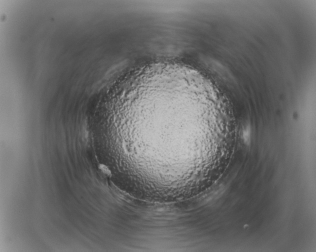 X0000084001252200703021956