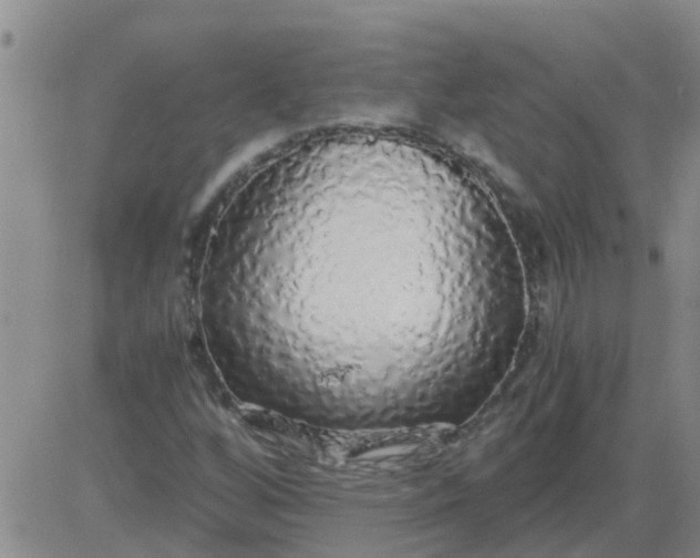 X0000084001256200703021956