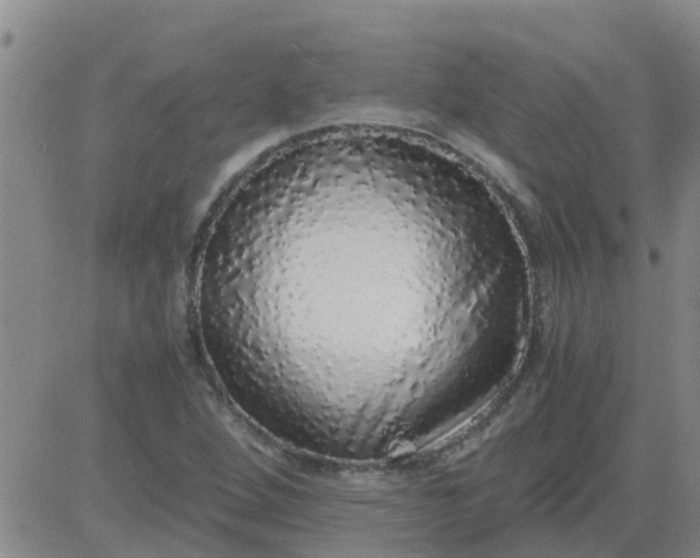 X0000084001264200703021956