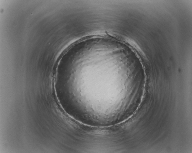 X0000084001268200703021956