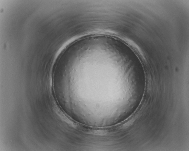 X0000084001280200703021956