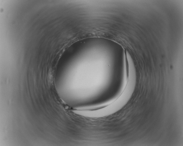X0000084001298200703021955