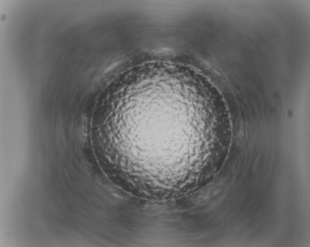 X0000084001301200703021955
