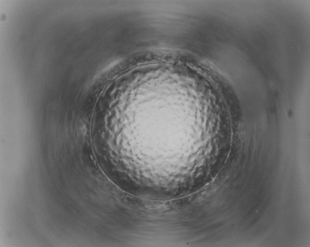 X0000084001302200703021955