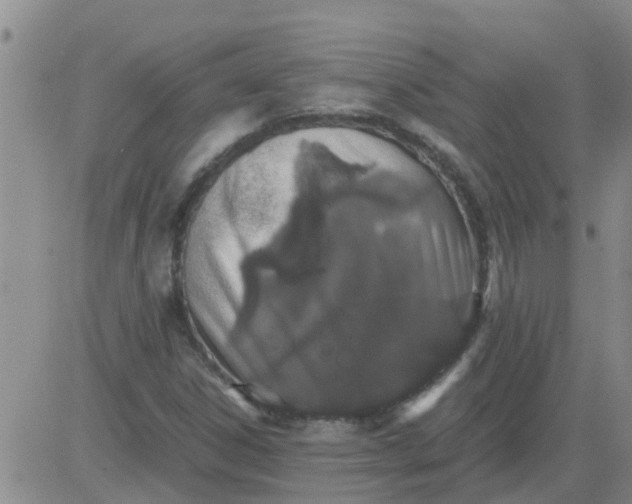 X0000084001306200703021955