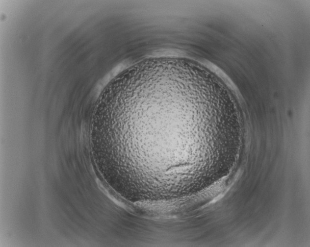 X0000084001337200703021955