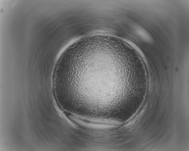 X0000084001341200703021955