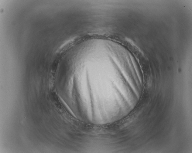 X0000084001350200703021954