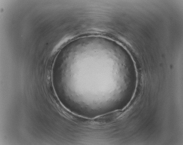 X0000084001355200703021954
