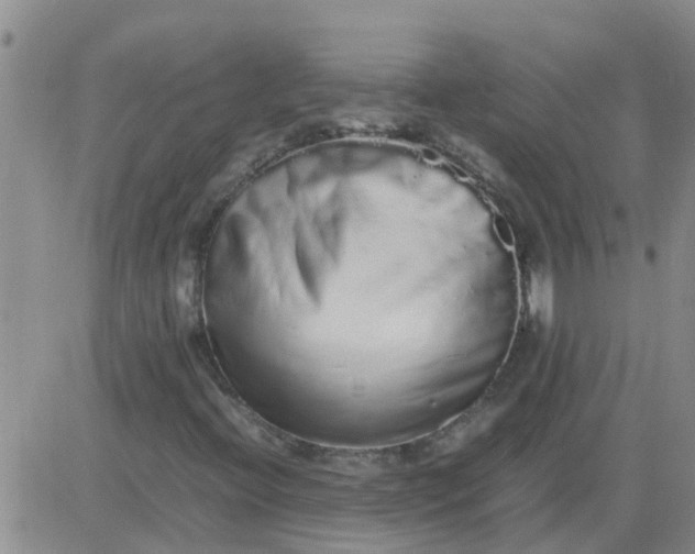 X0000084001396200703021953
