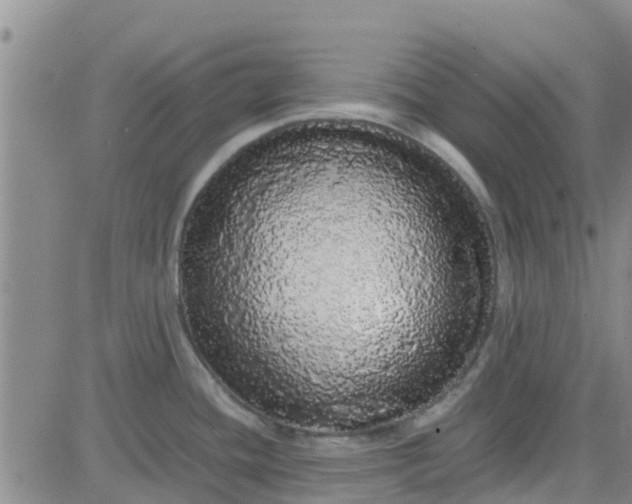 X0000084001436200703021954